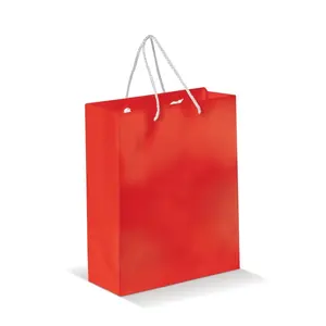 Bolsa de Papel Resistente, Merchandising Personalizado - Product Image 1