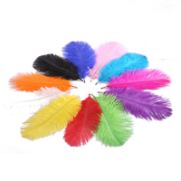 35-40cm Plumes D'autruche Drabs Décoration Pour Costumes De Carnaval Décoration De Table Teint Couleur Plumes D'autruche Pour Le Mariage