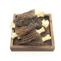 Morilles Noires Séchées Sauvages - Morchella Esculenta Séchée - Colmenillas - Prix Frais Morcheln