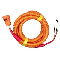 Sistema di Controllo per Unità di Refrigerazione Veicolare, Sistema di Monitoraggio IoT, Cablaggio per Batteria ad Alta Tensione, Gruppo di Controllo Linea