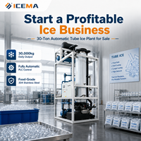 Lancez une entreprise industrielle rentable de production de glace : Usine à glace tubulaire automatique de 30 tonnes avec moteur et pompe, modèle BMT300, certifiée CE/ISO