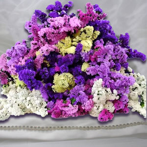 Ramo de flores secas <span class=keywords><strong>No</strong></span> me olvides Flores secas <span class=keywords><strong>para</strong></span> decoradores del hogar Decoración de la boda - Product Image 1