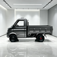 Camionnette électrique pour livraison commerciale, conduite à gauche, avec lecteur MP5