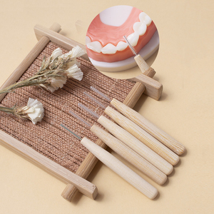 Sinh thái thân thiện phân hủy sinh học răng Pick nha khoa bằng miệng kẹo cao su chăm sóc Nguồn cung cấp kẽ răng bàn chải - Product Image 4