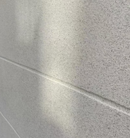 Peinture acrylique anti-salissure Crack Bridge, revêtement imitation pierre pour la décoration extérieure des murs de clôture périmétriques