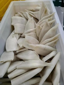 IKAN CUMI CUMI BEKU