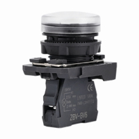 Interrupteur à bouton-poussoir miniature DC à tête plate en plastique neutre B5 AV73 AV74