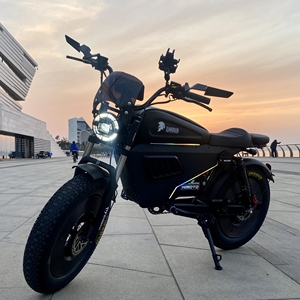 Bicicleta de Montaña 2025 de 3000W con Motor de 1500W, Neumáticos Anchos, Batería de Litio Extraíble de 30AH/60AH - Product Image 4