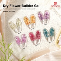 Kit professionnel de gel UV souple de haute qualité pour nail art, extension rapide, gel à fleurs séchées et paillettes pour nail art