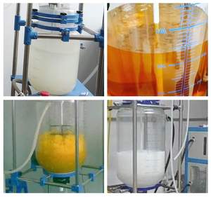 Ergonomic Design Glass Reactor Automatic 220V Reaction <b>Kettle</b> with Motor Core Components Easy Handling and Maintenance - Product Image 6