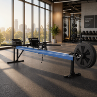 Máquina de Remo Ergométrica de Hierro para Interiores, en Oferta, para Uso Comercial/Gimnasio
