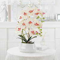 Set Anggrek Phalaenopsis Artifisial Premium Silk-Touch dalam Pot, Rangkaian Anggrek Mewah Lengkap untuk Dekorasi Hotel & Rumah