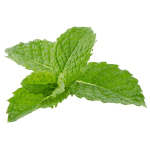 Té <span class=keywords><strong>Verde</strong></span> Matcha Refrescante con <span class=keywords><strong>Menta</strong></span>, Alto en Cafeína, Impulso de Energía, Té Matcha en Polvo Puro <span class=keywords><strong>y</strong></span> Orgánico, Sachet para la Digestión <span class=keywords><strong>y</strong></span> la Concentración - Product Image 2