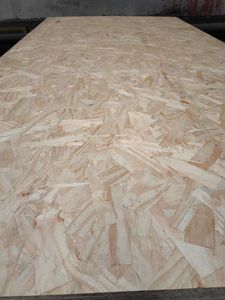 Panneaux <span class=keywords><strong>OSB</strong></span> de qualité industrielle au <span class=keywords><strong>prix</strong></span> d'usine, épaisseur 18 mm, surface en <span class=keywords><strong>bois</strong></span> de peuplier, taille standard 1220x2400 mm - Product Image 5