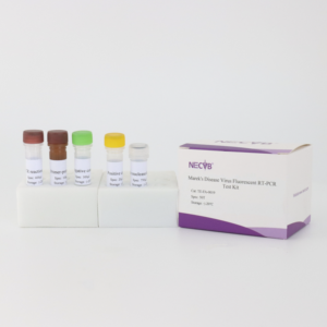 마렉스 질병 바이러스 (MDV) 실시간 형광 PCR 검출 키트 - Product Image 3