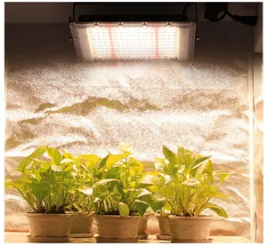 Luces LED de inundación para cultivo de plantas, Panel de semillas de luz diurna, lámpara Phyto para cultivo de plantas, 50W, 100W, 300W, AC110V, 220V, con enchufe de la UE/EE. UU.