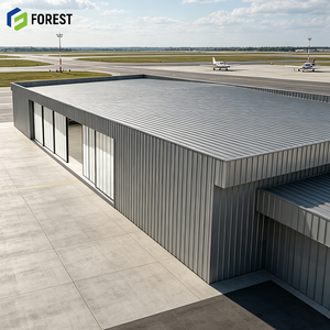 Hangar Industrial de Acero Estructural Modular Resistente al Fuego, Edificio Prefabricado de Alta Resistencia para Depósito de Aviones - Product Image 1