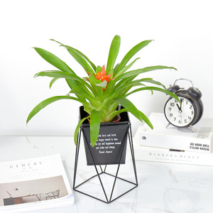 Nordic Minimalist Iron Flower Pot Stand Desktop Indoor Planters Square Design Wrought Iron Vase Home Decoration - Product Image 3