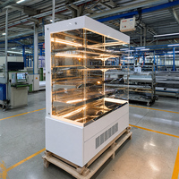 Armoire chauffante électrique à pompe à chaleur pour poulet rôti, vitrine isolée en verre, comptoir en acier inoxydable, chauffe-plats
