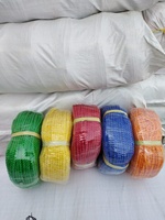 Haute Qualité Nylon HDPE 3 Brins Torsadé PE Emballage Cordes De Pêche Fournisseur En Gros Inde Polypropylène PP Corde Bobine Emballage