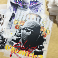 Decalcomanie in Inchiostro Plastisol Elastico Estensibile per Trasferimenti Termici DTF per Design Personalizzato di Loghi e Motivi su Magliette