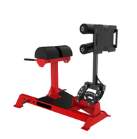 Équipement de fitness professionnel : Chaise romaine pour le développement des fessiers et des ischio-jambiers, entraînement de la force des jambes et des abdominaux