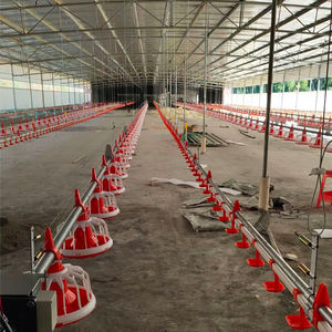Ligne d'alimentation entièrement automatique pour l'élevage <span class=keywords><strong>de</strong></span> volailles, hangar à <span class=keywords><strong>poulet</strong></span>/équipement <span class=keywords><strong>de</strong></span> maison pour poulets <span class=keywords><strong>de</strong></span> <span class=keywords><strong>chair</strong></span>/<span class=keywords><strong>race</strong></span>/<span class=keywords><strong>poulet</strong></span> oiseau - Product Image 2