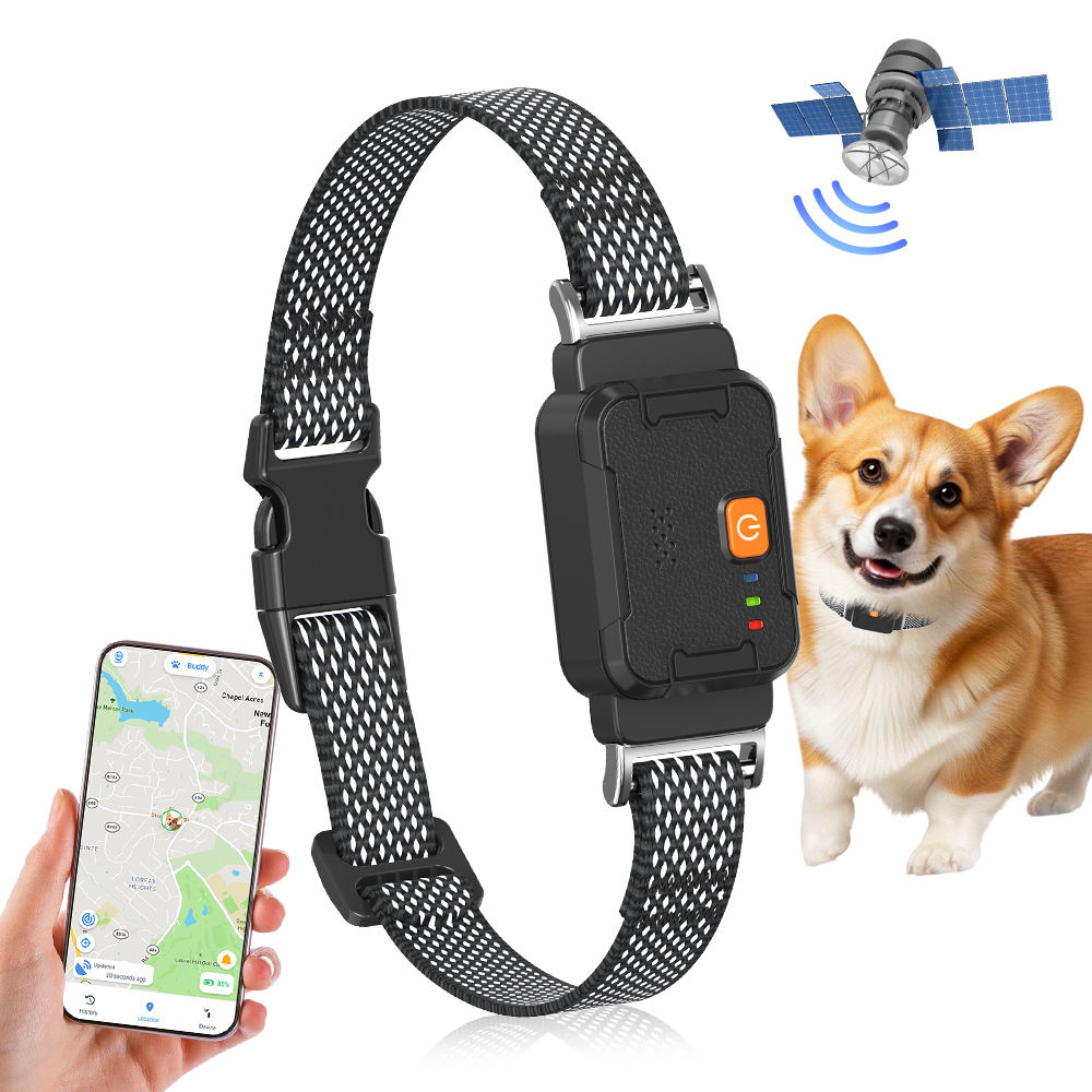 Dog GPS Tracker No Sim Card Real Time Pet Monitoring