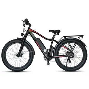 New Product 48V 750W Fat Tire Ebike Mountain Electric Bike With Lithium Battery