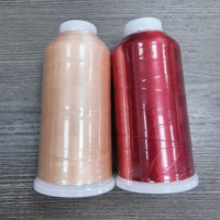 Fil à broder 100 % polyester en gros, 120D/2, poids 100g, fil haute résistance pour broderie industrielle informatisée