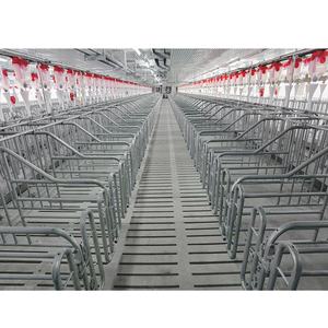 Équipement professionnel pour élevage de porcs, <span class=keywords><strong>cages</strong></span> pour animaux, cage de gestation pour truie, utilisée, jaula para cerdo, disponible à la vente - Product Image 6