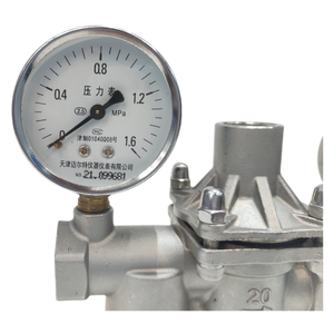 Válvula reguladora de sistema de calefacción de medidor de calibre NPT/BSPT hembra de acero inoxidable, válvula reductora de presión de agua de potencia Manual - Product Image 4