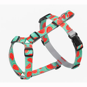 Desain khusus tidak ditarik tali anjing Y anak anjing & grosir besar dipersonalisasi tanpa tarik tali anjing dengan nama - Product Image 3