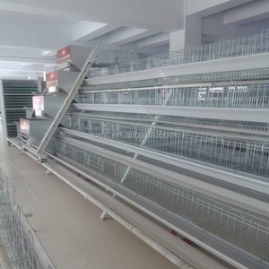 Poulailler de haute qualité pour poussins 500 couches état neuf - Product Image 5