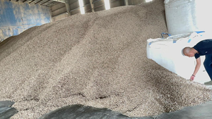 Granulés de <span class=keywords><strong>bois</strong></span> en gros à prix avantageux - Granulés de <span class=keywords><strong>bois</strong></span> de qualité supérieure A1 6mm-8mm à vendre, combustible biomasse - Product Image 5