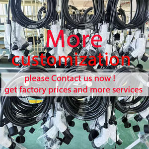 Cable de Carga Portátil para Vehículos Eléctricos de 3.5kw/7kw, Cargador para BYD, Cargador Doméstico para Vehículos Eléctricos, Estación de Carga GBT - Product Image 6