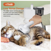 2023 nouvelle usine vente en gros Kit de toilettage professionnel pour animaux de compagnie succion sous vide chiens chats poils
