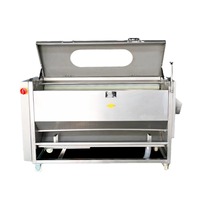 Commerciële Automatische Aardappel Taro Gember Zoete Aardappel Lotus Wortel Zee Komkommer Wasmachine Rolborstel Schilmachine