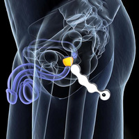 FRRK BDSM Perles Anales Masseur de Prostate pour Hommes Plug Anal Jouets Sexuels Stimulateur d'Orgasme Petits Produits de Santé Sexuelle Intime