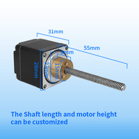 Moteur pas à pas linéaire RB Nema 11 de 28 mm, haute précision, vis à métaux TR5/TR6, course longue 300 mm, actionneur linéaire compact 12 V