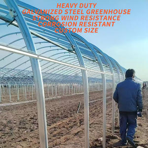 भारी शुल्क वाणिज्यिक-ग्रेड बड़े एकल-परत पे सौर कृषि ग्रीनहाउस वनस्पति खेती के लिए मजबूत पवन प्रतिरोध - Product Image 2