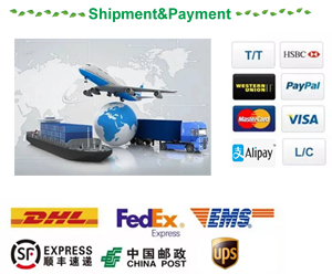 Food Grade Gratis Monster Huang Jing Poeder Polygonati Rhizoma Polygonatum Extract - Product Image 4