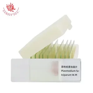 Биологические слайды с паразитами, слайды Plasmodium <span class=keywords><strong>Vivax</strong></span> Falciparum, Обучающие исследования, стеклянные слайды, подготовленные для лаборатории - Product Image 3