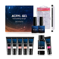 UV/LED Sky Gel Nail Kit Acrylique Séchage Rapide 15ML/Bouteille Gel Vernis à Ongles Ensemble Nail Buildergel Fournisseur en Chine