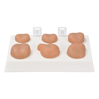 Simulateur de prostate masculin, modèle de mannequin de bureau en matériau PET avec sensation de toucher réel pour usage médical