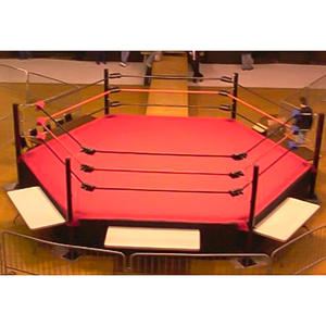 <strong>Wrestling</strong> Arena for American Japan Mexico <strong>Wrestling</strong> <strong>Ring</strong> Professional Factory Directly Sale Types <strong>Wrestling</strong> <strong>Ring</strong> - Product Image 6