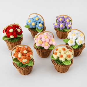 Cesta de Suculentas Tejida a Crochet Hecha a Mano con 7 Cabezas, Vendida en Puestos de Mercado Nocturno, Como Regalo para Compañeros de Clase, Maestros y Colegas - Product Image 5