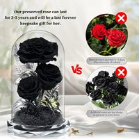 Fleurs éternelles sous cloche en verre, roses noires préservées de qualité supérieure, décoration d'intérieur pour la Saint-Valentin, la fête des mères, un anniversaire, 5.9x5.9x8.7