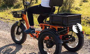 Tricycle électrique à trois roues Meetone Heavy Duty Iron pour passagers et marchandises, capacité de charge de 200-300 kg, exportation vers l'Amérique du Sud et l'Afrique - Product Image 5