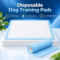 Vente en gros usine de tapis de propreté jetables pour chiens avec surface à drainage rapide, noyau de retenue de liquide et support anti-fuite pour l'entraînement quotidien